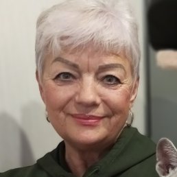 ����, �����-���������, 65 ���