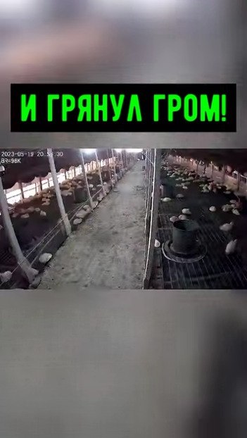 Че это там гремит? Боитесь грома?