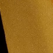 ����, 41 ���, ����