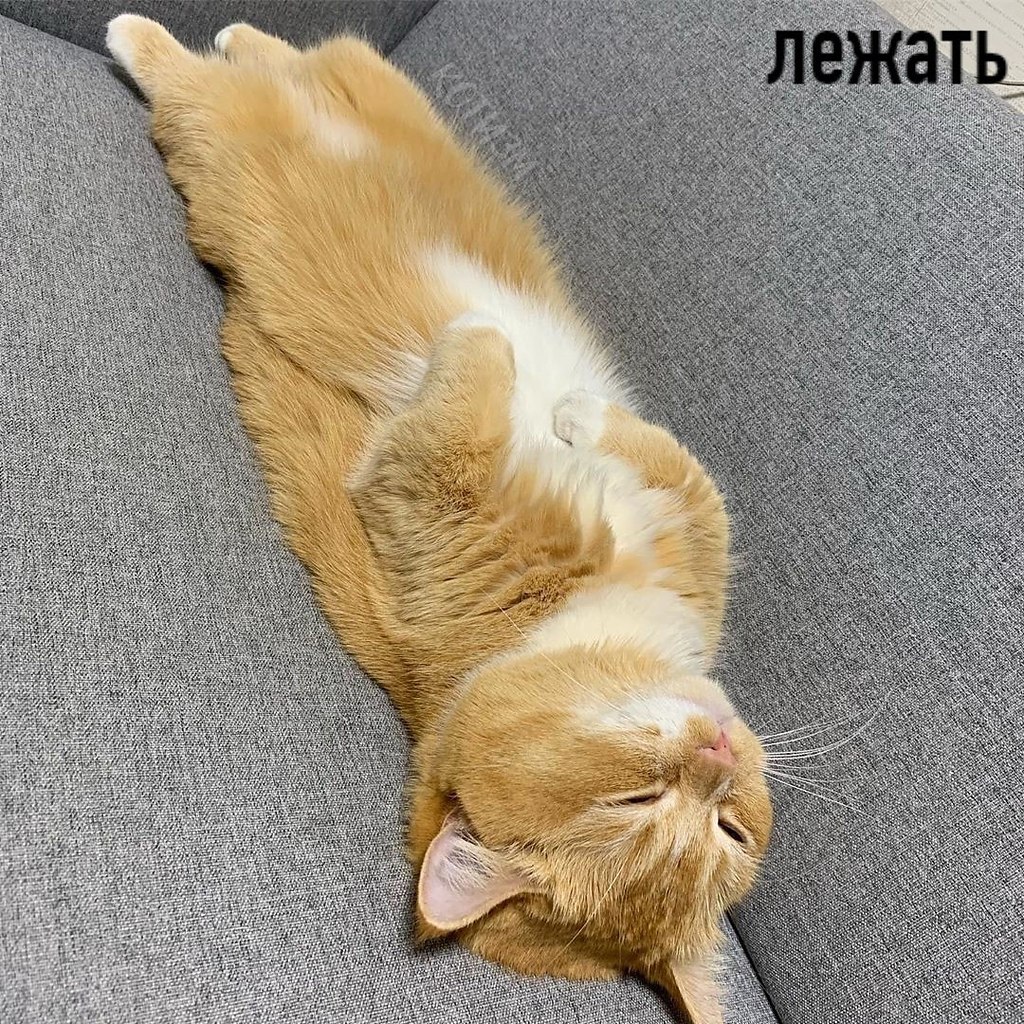 � ��������� ����� � ���� ������ ������ ��� 5 �����: - 2