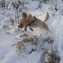 ���� ��������, ������, 38 ��� - ��������� 7 ������� 2026 � ������ ���� ����������