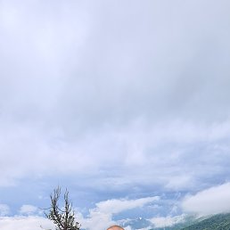 , 42, 