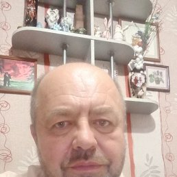 , 56, 