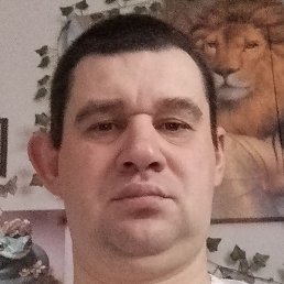 �������, ����, 37 ���