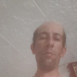 , 37, 