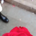���� Hanifa, ������, 20 ��� - ��������� 12 ��� 2026 � ������ ���� ����������
