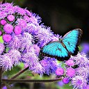 ���� Vika, ������, 46 ��� - ��������� 2 ������� 2024