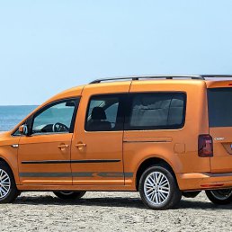 ���� ��, �����, 44 ���� - ��������� 24 ������� 2023