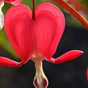 ���� �����, ������, 66 ��� - ��������� 5 ������ 2024 � ������ ���� ����������