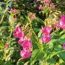 ���� ���������, ������, 37 ��� - ��������� 3 ������� 2025 � ������ ���� ����������