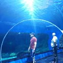 ���� ���, ���������, 38 ��� - ��������� 21 ���� 2024 � ������ ���� ����������