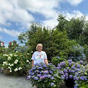 �������, 51 ���, �����������