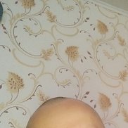 , 36 , 
