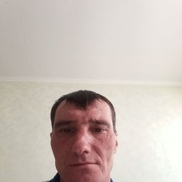 , 41 , --