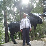 ������, 55 ���, ����