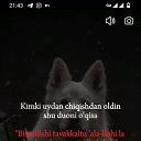���� ��� ����, ������, 33 ���� - ��������� 21 ������ 2024 � ������ ���� ����������