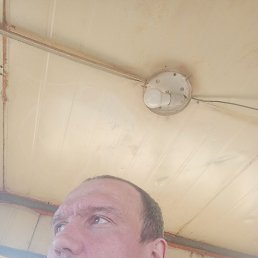 �������, �����������, 41 ���