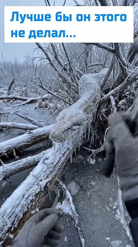 ���������� ���-�� ������������� ��������. ����� ����� ����� � ���� � ����� ��������� �� ���-�� ...