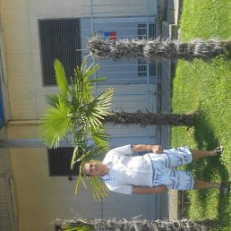 ���������, ������, 37 ���