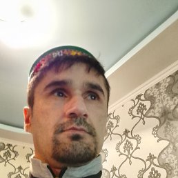 , 38, 