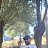 ���� Numan, �������, 34 ���� - ��������� 29 ���� 2026