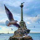 ���� ����, ���������, 51 ��� - ��������� 25 ����� 2025 � ������ ������ ��������