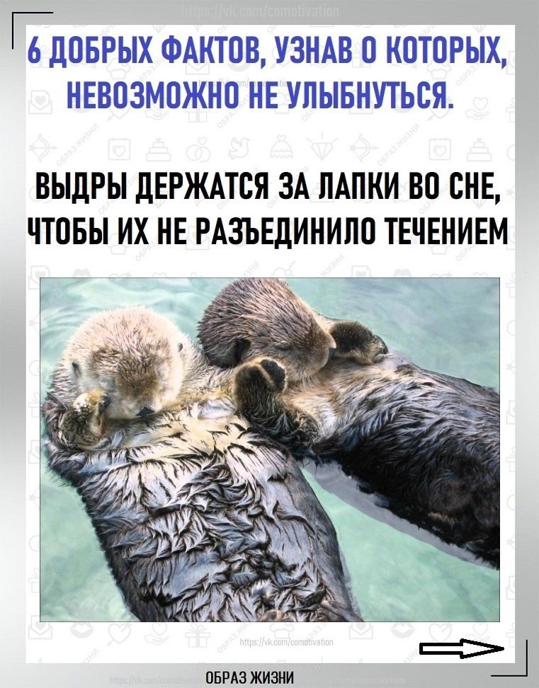������.