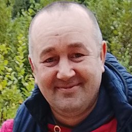 ����� �����, �����, 43 ����