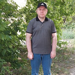 ������, 40 ���, ������