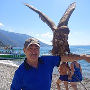 �������, 60 ���, ����