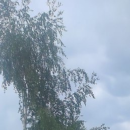 �������, ������, 43 ����