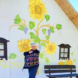 ���� �����, ��������, 50 ��� - ��������� 27 �������� 2025