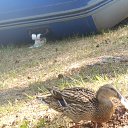 ���� Kostya, �����-��������� - ��������� 8 �������� 2025 � ������ ���� ����������