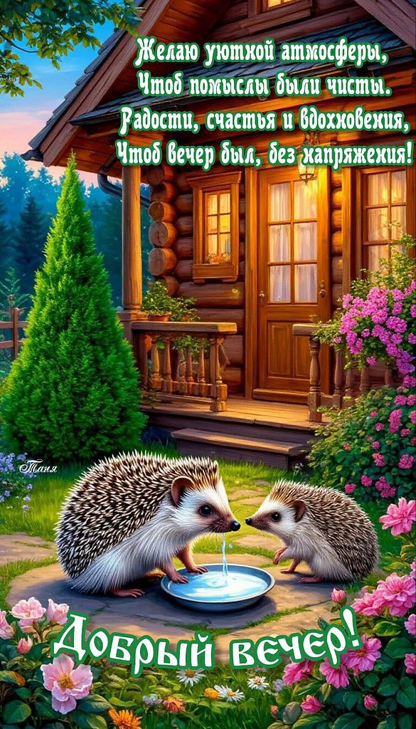   ,    . - 19  2025  16:38 - 5