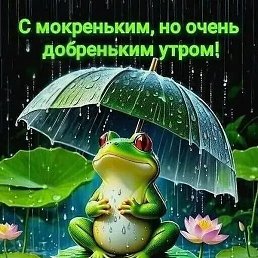 �, ������������, 36 ���