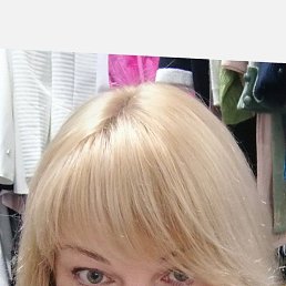 ���� ����, ������, 50 ��� - ��������� 26 ����� 2026