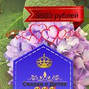 ���� ��������, ������, 41 ��� - ��������� 26 ������ 2025 � ������ ������ ��������