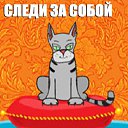 ���� ��������, ��������� - ��������� 16 ������� 2026