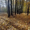 ���� �����, ����� - ��������� 23 ������� 2024