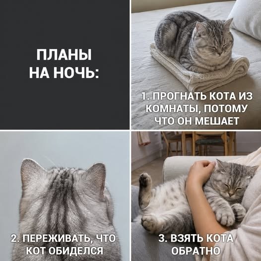��� ���� � ����� �� �� - 9 ���� 2026 � 21:55