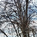 ���� �����, ��������, 54 ���� - ��������� 18 ������� 2026