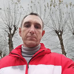 ����, 44 ����, ��������