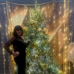 ���� ��������, �������, 54 ���� - ��������� 14 ������� 2026