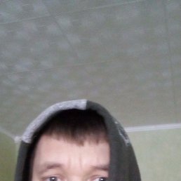 ����, 37 ���, �����������