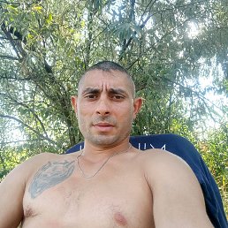 , 37, 