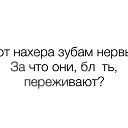 ���� Shadow, ���� - ��������� 20 ������� 2024 � ������ ������ ��������