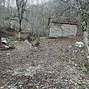 ���� ����, ��������, 42 ���� - ��������� 30 ������ 2024 � ������ ������ ��������