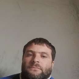 , 40, 