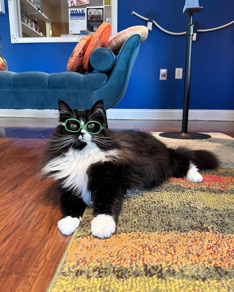  .               . ... - 6