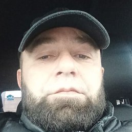 ������, ��������, 41 ���